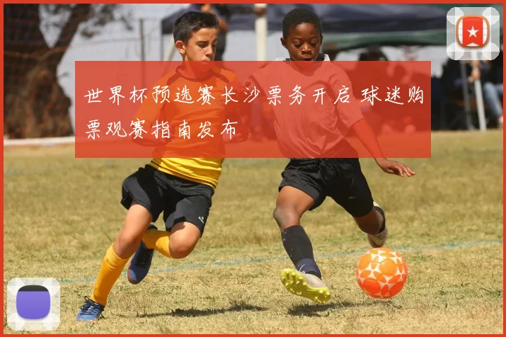 世界杯预选赛长沙票务开启 球迷购票观赛指南发布